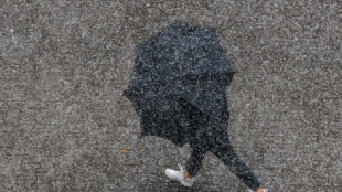 DWD: Winter in Deutschland war das zw&ouml;lfte Jahr in Folge zu warm