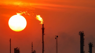 P&eacute;trole: Ryad et ses alli&eacute;s persistent et signent en dopant leur production 