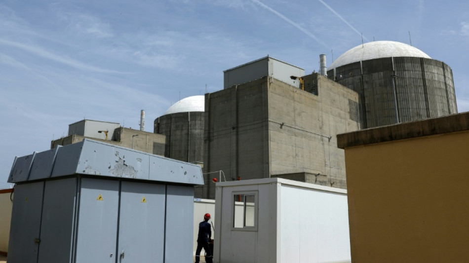  Regulator backs extension of Spain's largest nuclear plant 