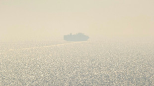 Ucrânia desafia Rússia com navio de carga no Mar Negro