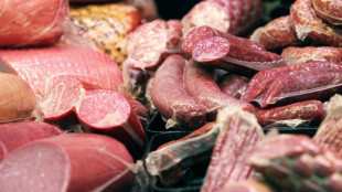 Zoll findet an Münchner Flughafen kiloweise Fleisch in Gepäck von Großfamilie