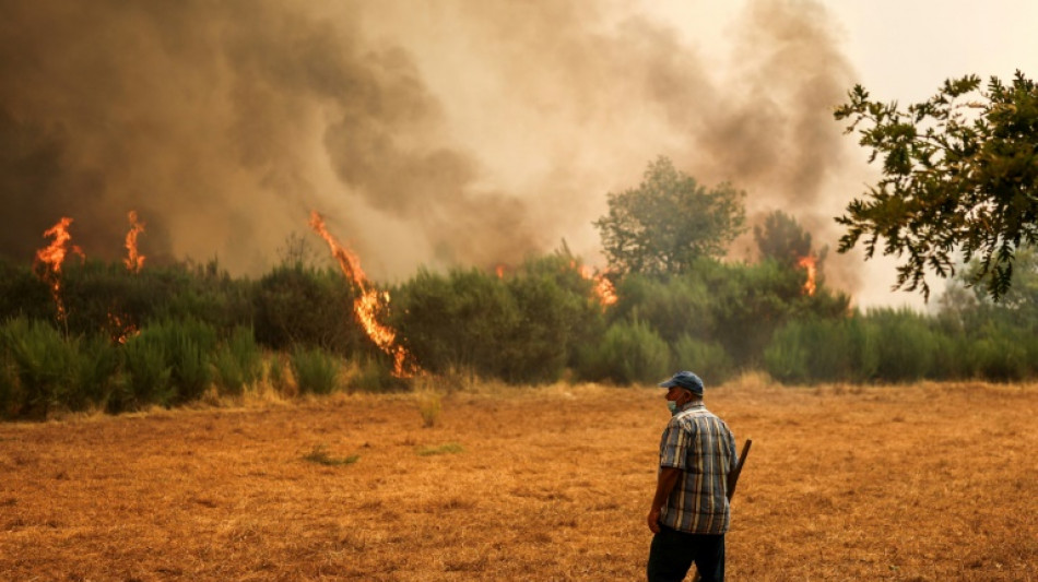 Deutschland st&ouml;hnt unter Hitzewelle - Waldbr&auml;nde w&uuml;ten in S&uuml;deuropa