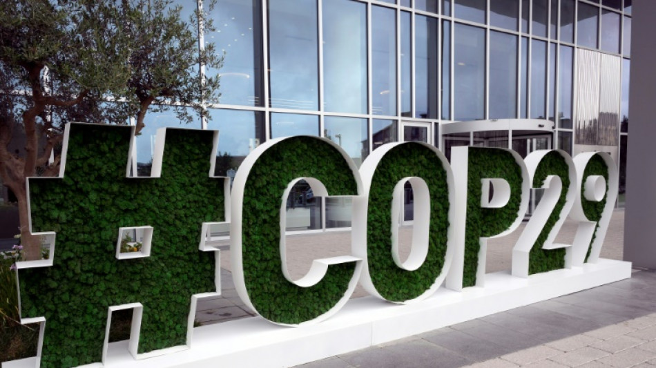 Bericht: Aserbaidschans Interesse an fossilen Energien k&ouml;nnte COP29 beeinflussen