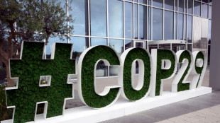 Bericht: Aserbaidschans Interesse an fossilen Energien k&ouml;nnte COP29 beeinflussen