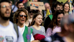 Activista climática Greta Thunberg es detenida dos veces durante protesta en Países Bajos