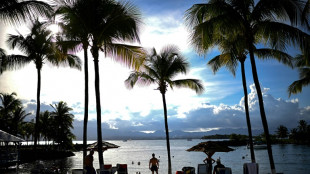 En Guadeloupe, la mont&eacute;e en gamme du tourisme frein&eacute;e par les r&eacute;alit&eacute;s du terrain