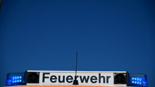 Unterst&uuml;tzung aus Regierungsparteien f&uuml;r F&uuml;hrerscheinentzug f&uuml;r Gaffer