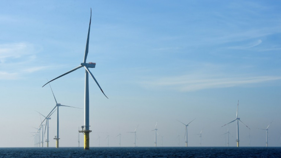 Ein neuer Windpark 2022 fertiggestellt - Kaskasi liefert 342 Megawatt Strom