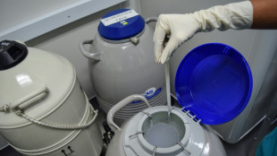 L'autoconservation des ovocytes, une proc&eacute;dure nouvelle, victime de son succ&egrave;s