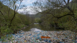 Grünen-Politiker fordert "verbindliches Abkommen" gegen Plastikmüll