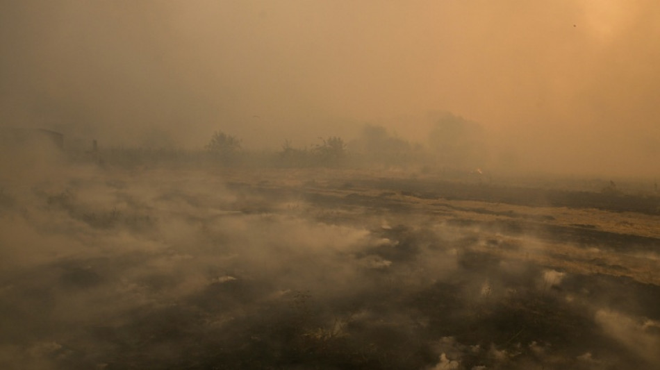 Wind erschwert Kampf gegen Rekord-Waldbr&auml;nde in Spanien - Mann stirbt in Portugal