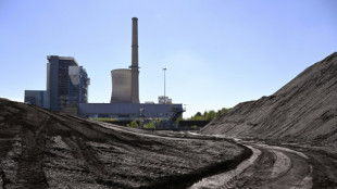 IEA: Kohleverbrauch wird 2022 weltweit neuen Höchstwert erreichen