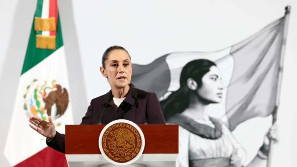 No 'eye for an eye' approach to US tariffs: Mexico 