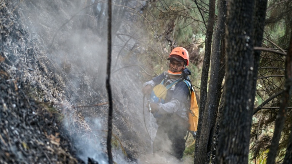  Indonesia cierra escuelas mientras lucha contra los incendios forestales 
