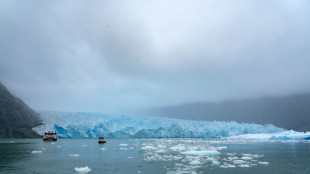 Au Chili, les glaciers "indicateurs" du réchauffement climatique