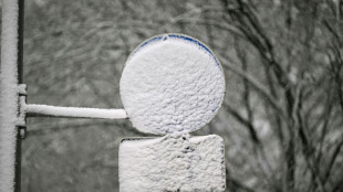 Sturm und Schnee sorgen f&uuml;r Unf&auml;lle in S&uuml;den und Westen - Mann von Baum erschlagen