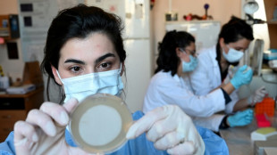 Les bactériophages, des virus qui pourraient sauver des millions de vies