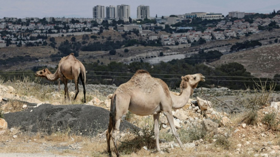 Reino Unido convoca diplomata de Israel por projeto de assentamento 