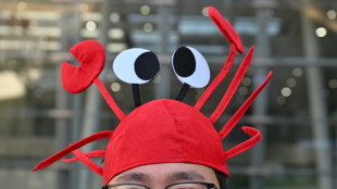 AI agent 'lobster fever' grips China despite risks