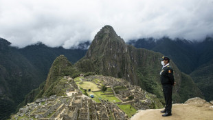 Descubren una nueva especie de mariposa en Machu Picchu