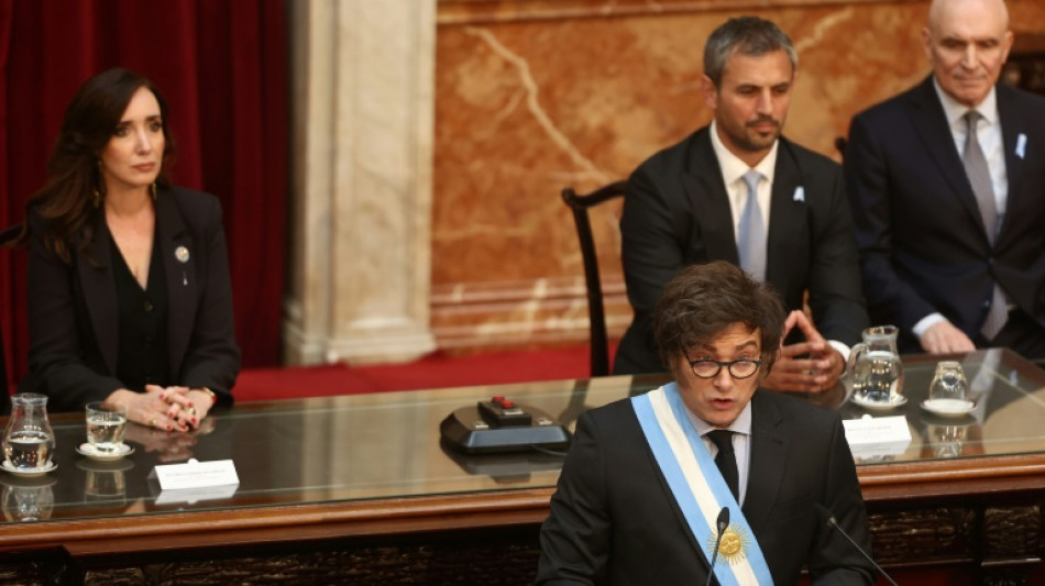 Milei afirma que vetar&aacute; leis para alcan&ccedil;ar 'd&eacute;ficit zero' em 2025