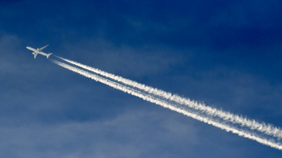 Sector a&eacute;reo de la UE pide "revisi&oacute;n inmediata" del nuevo sistema de control fronterizo