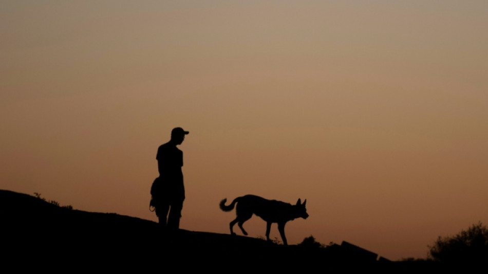  Les chiens nous accompagnent depuis 16.000 ans 