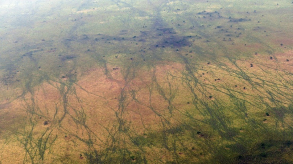  UN to list more sites as 'in danger' from conflict or climate change 