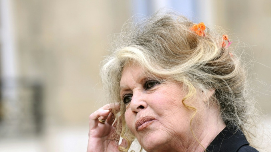  Se subastar&aacute;n en Par&iacute;s cerca de 300 objetos personales de Brigitte Bardot 