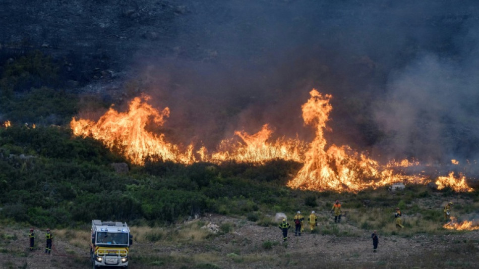  Western Europe experienced hottest June-July on record: EU monitor 