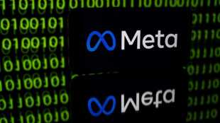 Le proc&egrave;s de plus de 80 m&eacute;dias espagnols contre Meta aura lieu en octobre 2025