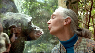 Primatenforscherin Jane Goodall im Alter von 91 Jahren gestorben