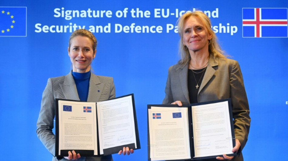  Vor Referendum &uuml;ber Beitrittsverhandlungen: Island und EU besiegeln Verteidigungsabkommen 