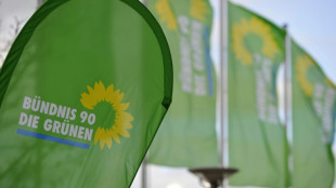 Grüne in Sachsen wählen Spitzentrio für Landtagswahl