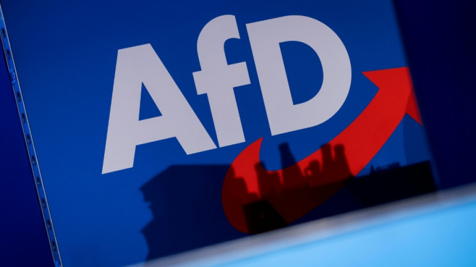  AfD best&auml;tigt Angriff auf E-Mail-Postf&auml;cher: "Gro&szlig;e Datenmengen abgeflossen" 