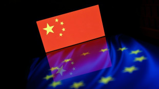 EU wrestles over how to tackle China export flood