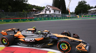 Formel 1: McLaren schl&auml;gt Verstappen