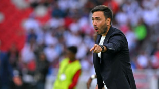 Foot: pour l'apr&egrave;s Genesio, Lille parie sur Davide Ancelotti