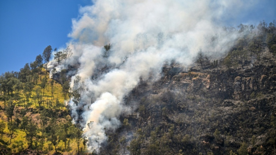  Eighth day of wildfires in Indonesian national park 