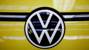 VW-Krise: BDI fordert bessere Rahmenbedingungen - Linke will Dividenden-R&uuml;ckzahlung