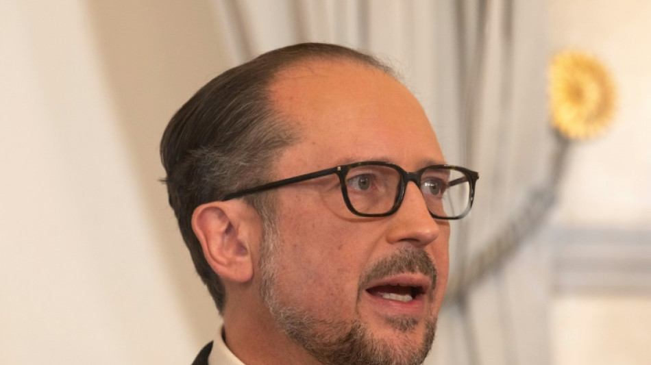 &Ouml;sterreichs Au&szlig;enminister Schallenberg wird &uuml;bergangsweise Regierungschef 