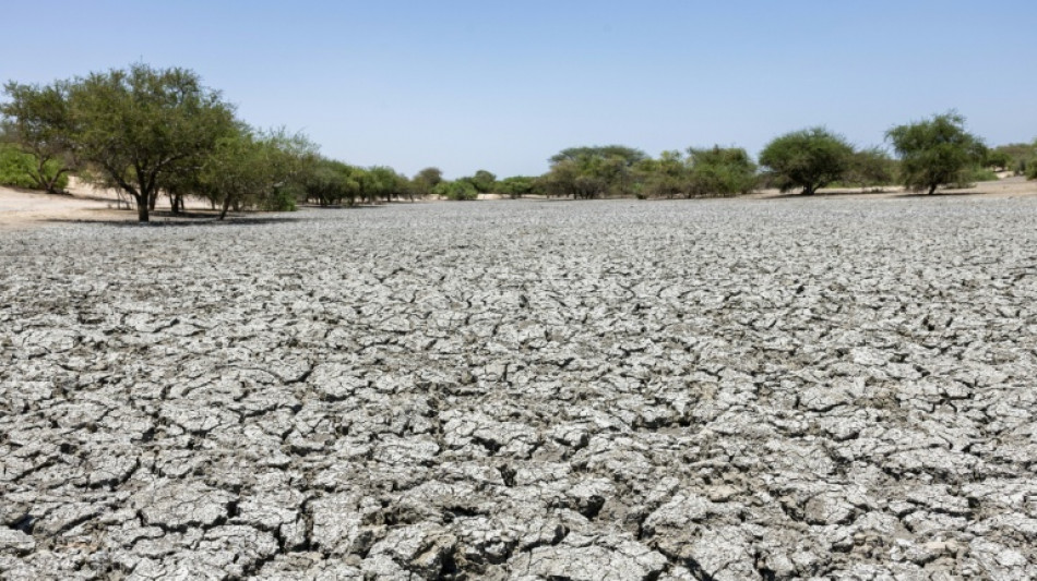  Brot f&uuml;r die Welt: Insbesondere arme Konfliktstaaten bekommen zu wenig Klimaanpassungshilfen 