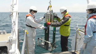 Lama marinha do Japão conta história do impacto humano na Terra