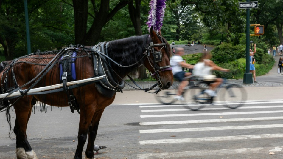  18-J&auml;hriger bei Unfall mit Pferdekutsche im New Yorker Central Park gestorben 
