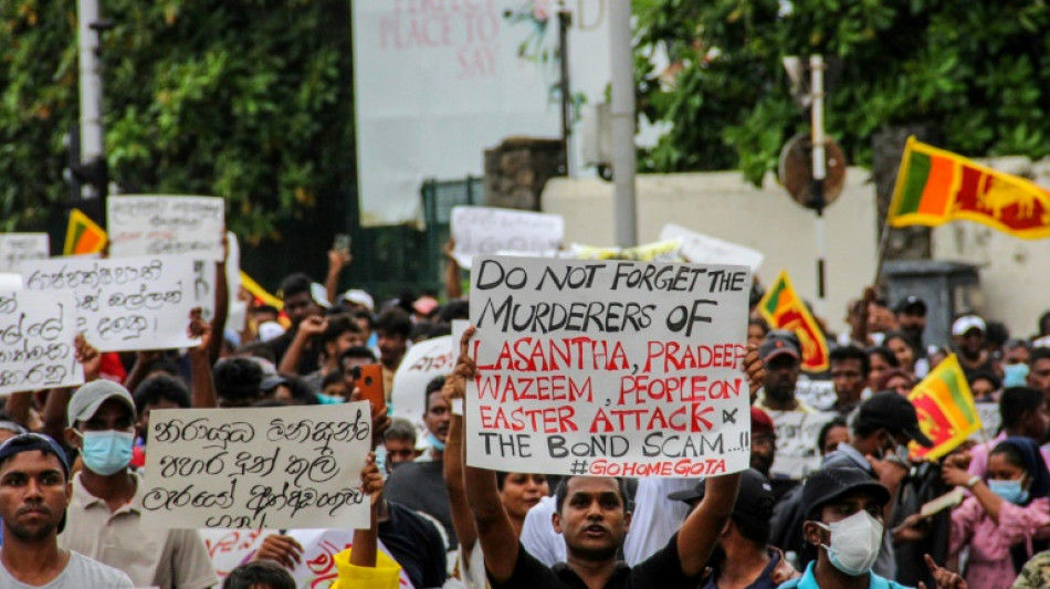 Crisis-hit Sri Lanka set for uneasy 'economic war cabinet'