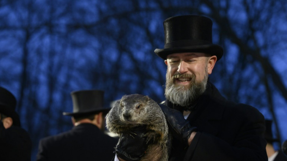 Marmota mais famosa do mundo prev&ecirc; primavera antecipada