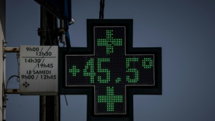 Greenpeace-Experte sieht Klimawandel als