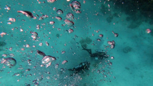 Naufr&aacute;gio de barco tur&iacute;stico deixa 16 mortos no Egito