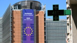 Br&uuml;ssel will EU-L&auml;ndern bei Klimaziel f&uuml;r 2040 mehr Spielraum geben