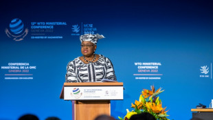 La OMC promete millones a pa&iacute;ses en desarrollo para un acuerdo sobre pesca